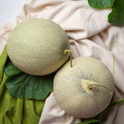 japanese-melon-cantaloupe-cantaloupe-seasonal-fruit-health-concept