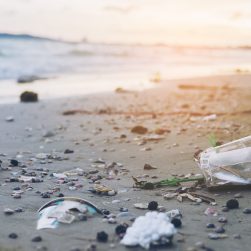 Trash on sand beach showing environmental pollution problem